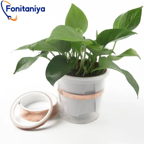 a potted plant protected by copper foil tape from snails and slugs